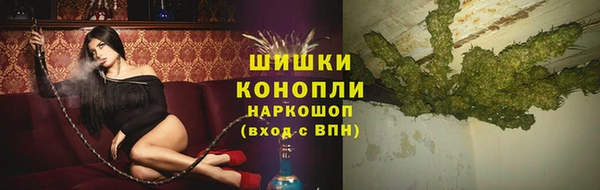бошки Бородино