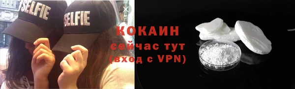 бошки Бородино
